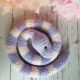 Crochet snake amigurumi