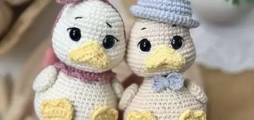 Amigurumi cute ducks