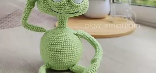 Amigurumi funny frog