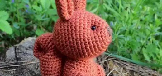 Crochet little squirrel
