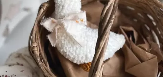 Little goose amigurumi